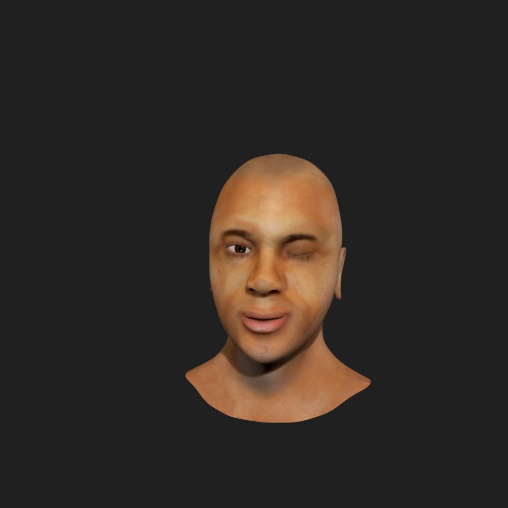 Human Head Model preview image 1